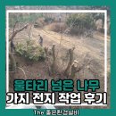 울타리 넘은 나무 가지 전지 작업 후기