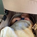 해리커피 이미지