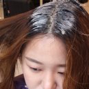 샤샤샥미용실