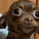 제이(J)에너지 | 마곡 바디 관리 | 제이바디랩 | 바디슬리밍 솔직후기