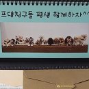 허그댕댕 이미지