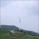 대관령마루길 이미지