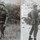 [충효위본(忠孝爲本)]-인륜가운데 충과 효가 기본이다 이미지