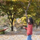 새밭야영장 이미지