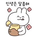 아이캐슬어린이집 이미지