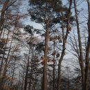 내촌면복지회관 이미지