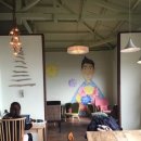 코지민박 이미지