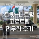 리무진 | 베트남 달랏에서 나트랑 고로트립 리무진 가격 정보 후기