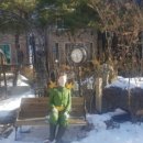 어린왕자의나무별 이미지