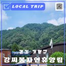 경기도 가평 강씨봉자연휴양림 객실 시설 바베큐 후기