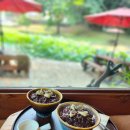 세심천탕 | [영월 세심다원]영월 보덕사 사찰 카페/내돈내산 별점후기