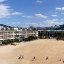 학장초등학교 이미지