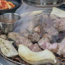 교래흑돼지표선점