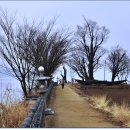 내일을향하여 이미지