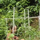 웜홀스테이 이미지