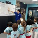 천명태권도 이미지