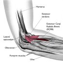 보듬한의원 이미지