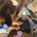 신비농장 이미지