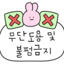 곤충나라 사과테마파크 오토캠핑장 이미지