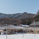 선운산도립공원(선운사 주차장 앞) 이미지