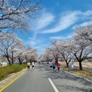 합천불고기 이미지