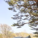 정비디오 | 캠핑텐트 추천 카즈미 그란디오 하우스 – 감성+별장 느낌의 대형 쉘터형 사계절 가족 텐트