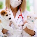 아이안 동물의료센터 이미지