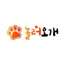 놀러오개 애견 유치원 애견 호텔 이미지