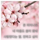 챗GPT 활용백서 이미지