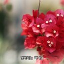 (주)라아