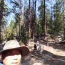 Yosemite Half Dome 까지 등산 기록-1.: 10 Jul. 2017 이미지