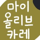 마이올리브카레
