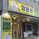 깔롱펫 이미지