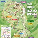 자작나무호텔 이미지