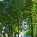 성포예술광장2 이미지