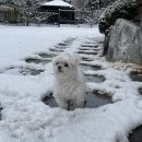 강남-072 | 072 / 24.02-03