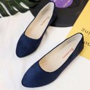 안다로미 이미지