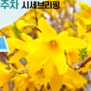 공덕자이공인중개사사무소 이미지