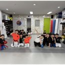 강철태권도 이미지