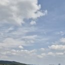 여주-0517 네이버블로그