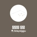 스테이식구 이미지