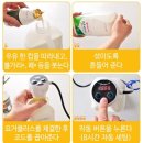 곰손한집