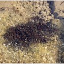 백이산 농장 이미지