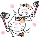 보물섬게임랜드 이미지