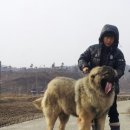 토실이네 이미지