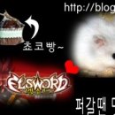 파티마약국 이미지