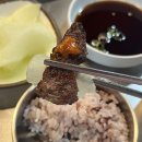 세븐일레븐 광주운남지구점 | 추억의 마포갈매기 다녀온 후기 광주 운남동 마포갈매기