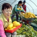 이재혁 농장 이미지