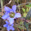 광덕1로10 이미지