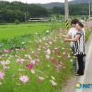 양산면사무소 이미지